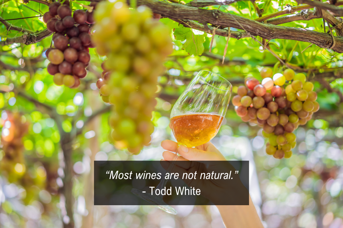 Chalene Johnson wine quote - natural