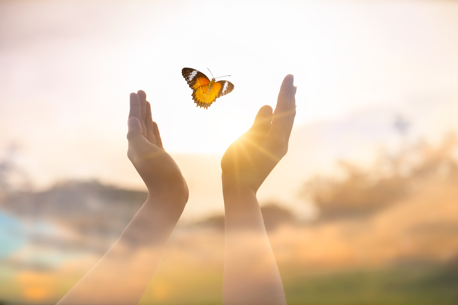 The Butterfly Effect as Related to Entrepreneurial Mindset