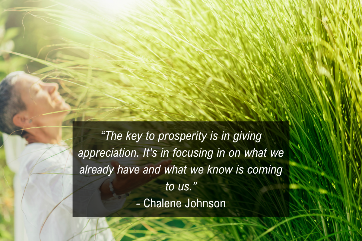 Chalene Johnson Mindset Prosperity Abundance quote - appreciation