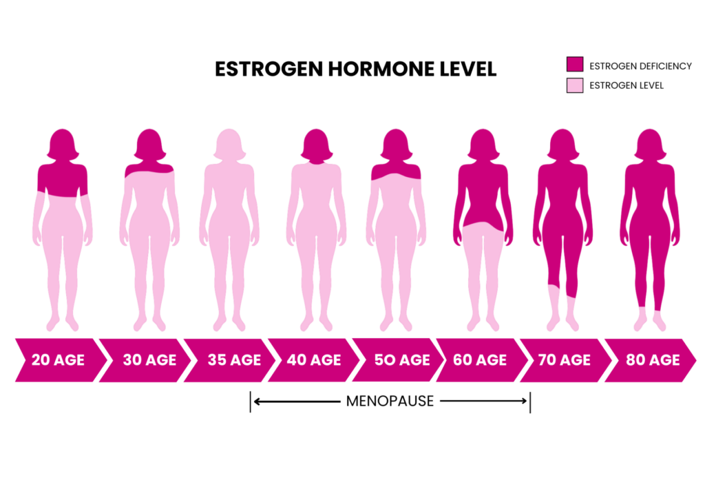 Graphic showing how estrogen declines with age in women from 20-80 years old
