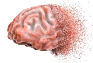 Illustration of brain health and estrogen decline during perimenopause and menopause