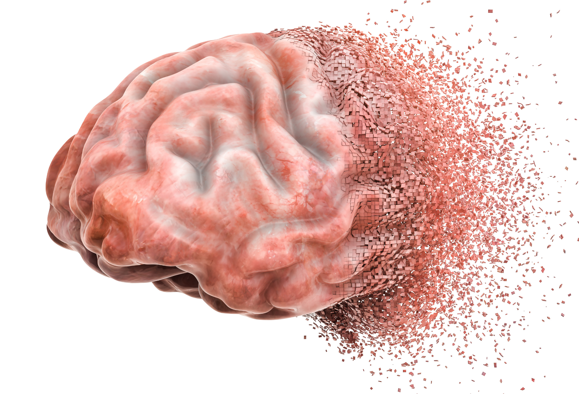 Illustration of brain health and estrogen decline during perimenopause and menopause